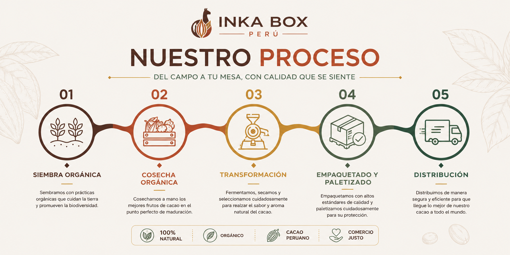 Nuestro proceso: siembra, cosecha, transformación, empaquetado y distribución