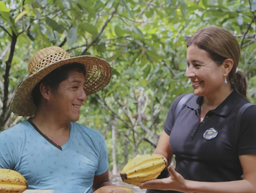 Productor y representante revisando cacao peruano